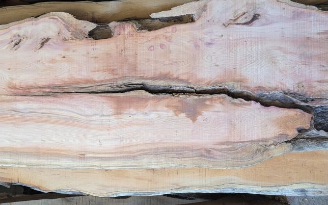 Stock timber
