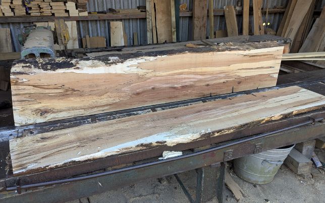 Waney-edge boards on the saw bench